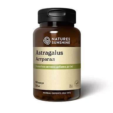 Укрепления иммунитета – Астрагал / Astragalus NSP